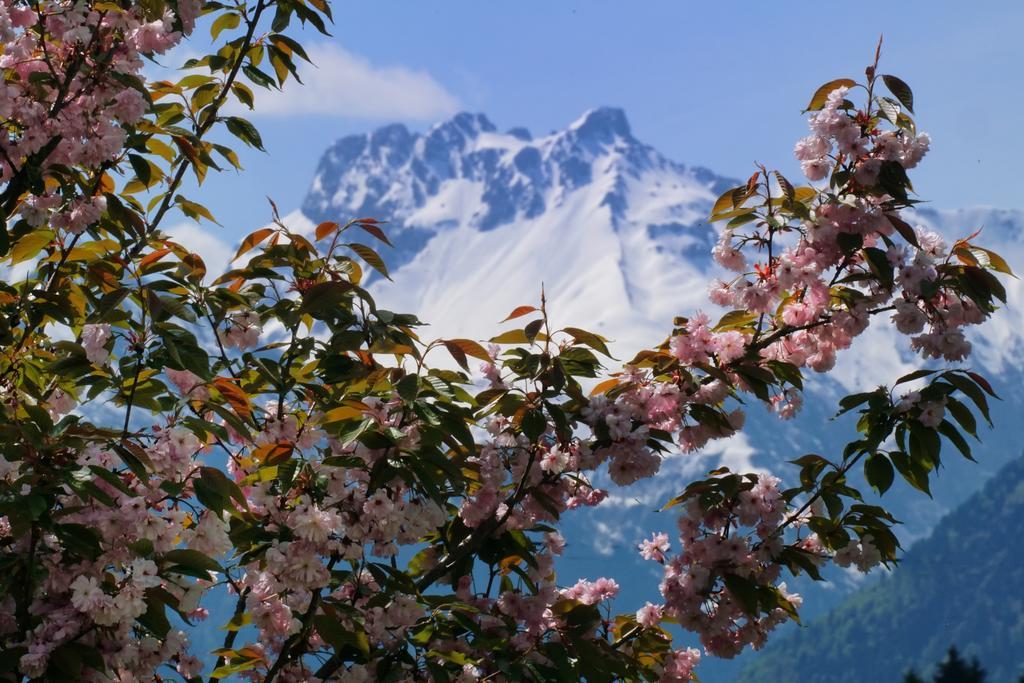 Panorama Hotel Kaserer Fischen im Allgaeu Exteriér fotografie
